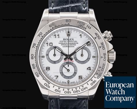 rolex daytona wg